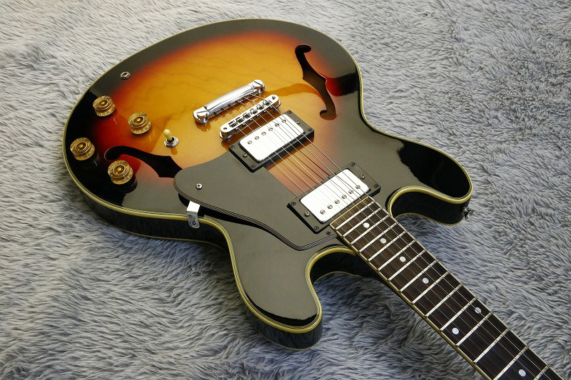 TEISCO テスコ 8弦 ラップスティール 8DW 【公式通販】