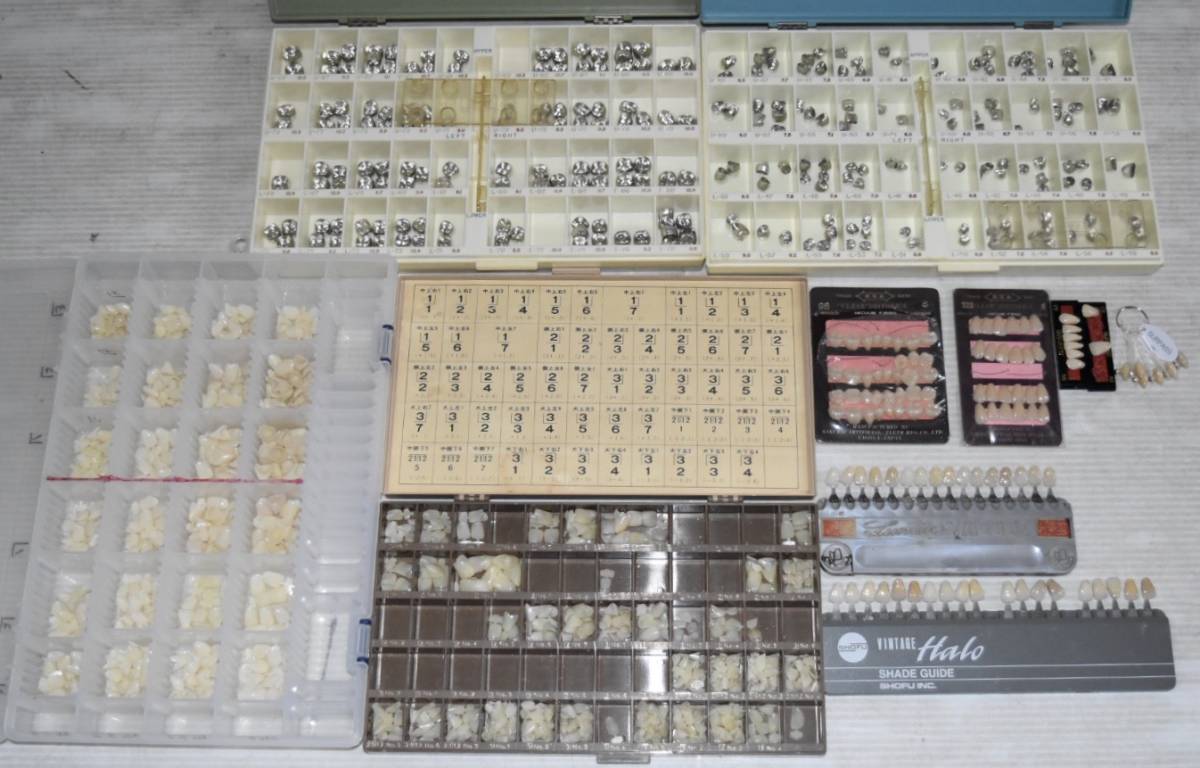 歯科技工用　人工歯　セット 歯科技工用 人工歯 セット 【公式通販】