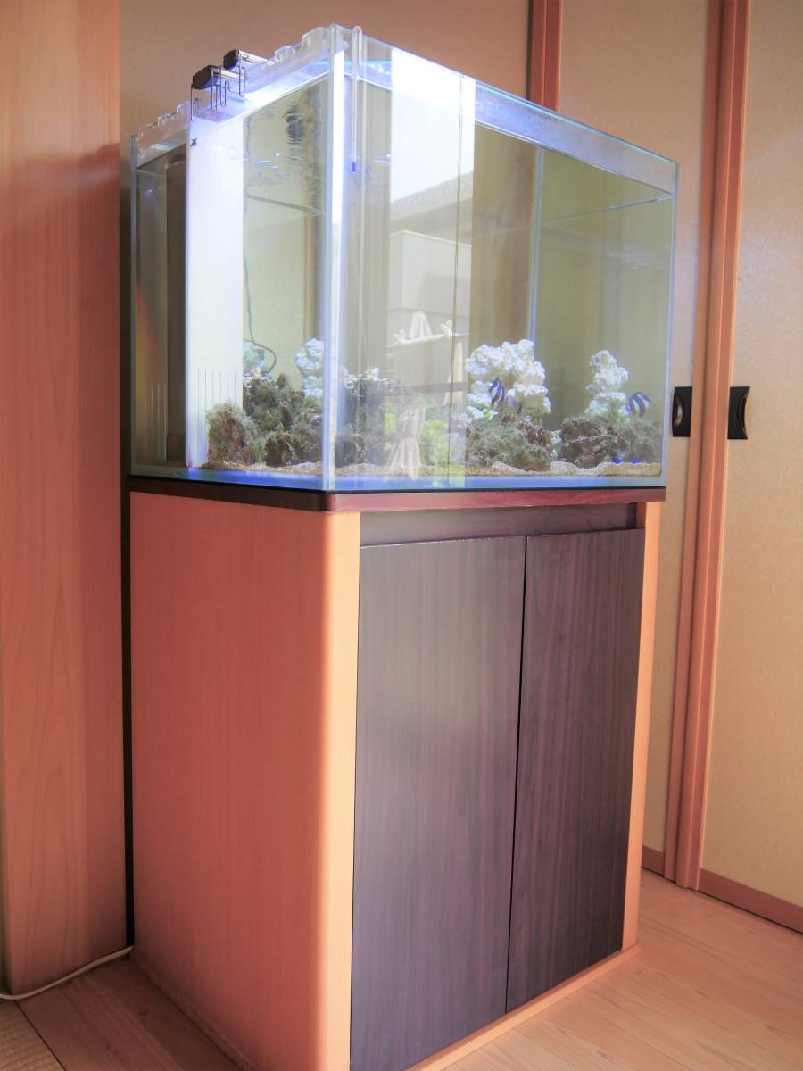 水槽・水槽台 600×450×1150 ☆オーバーフロー水槽一式