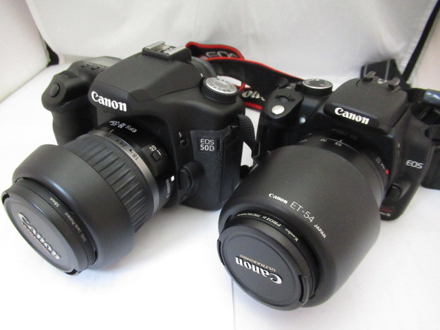 Canon EOS 50D + EF-S 18-55mm IS キット動作良好 気になるデジカメ