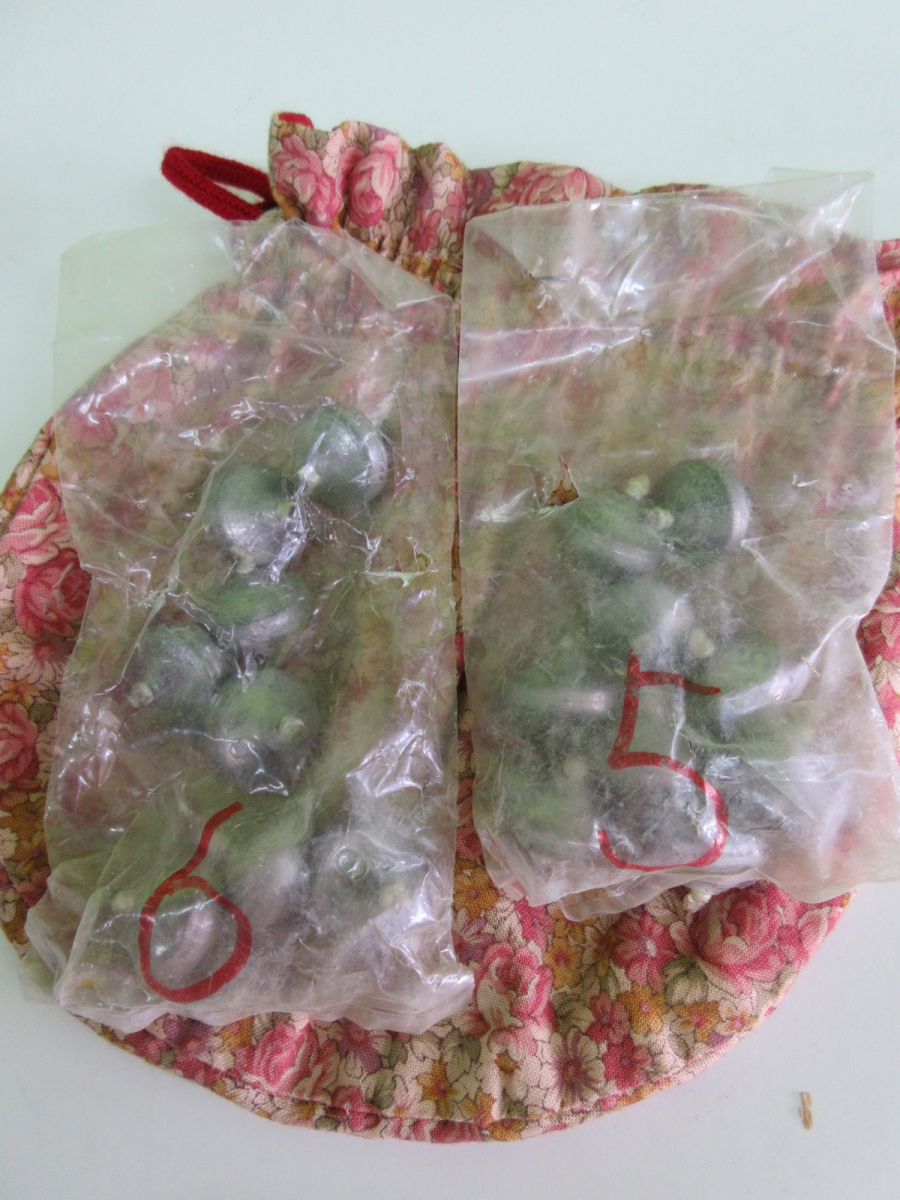 美品】 組紐 丸台 おもり玉 玉錘8個 組紐 丸台 組紐台 美品】 組紐 丸台 おもり玉 玉錘8個 組紐 丸台 組紐台