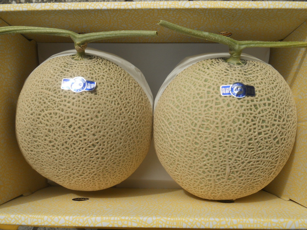 千*丸様 高知産　約１０ｋｇ　贈答用　５玉　大玉マスクメロン　秀品　北海道沖縄発 ☆ 送料無料 数量2 高知産 マスクメロン 2玉入 約4，0Kg以上 秀