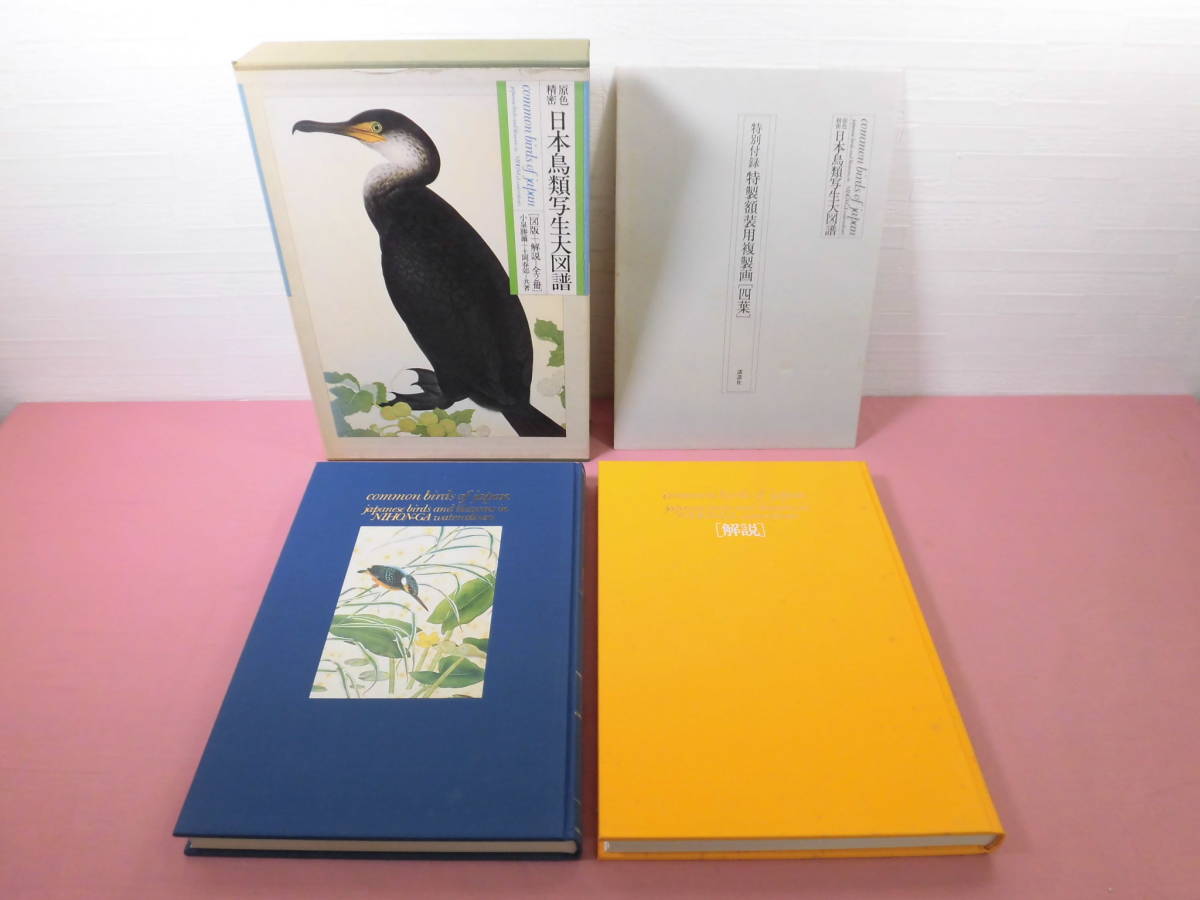 大型本 『 原色精密 日本鳥類写生大図譜　図版+解説　全2冊　特別付録付き 』 小泉勝爾/土岡春郊 講談社 C13-1
