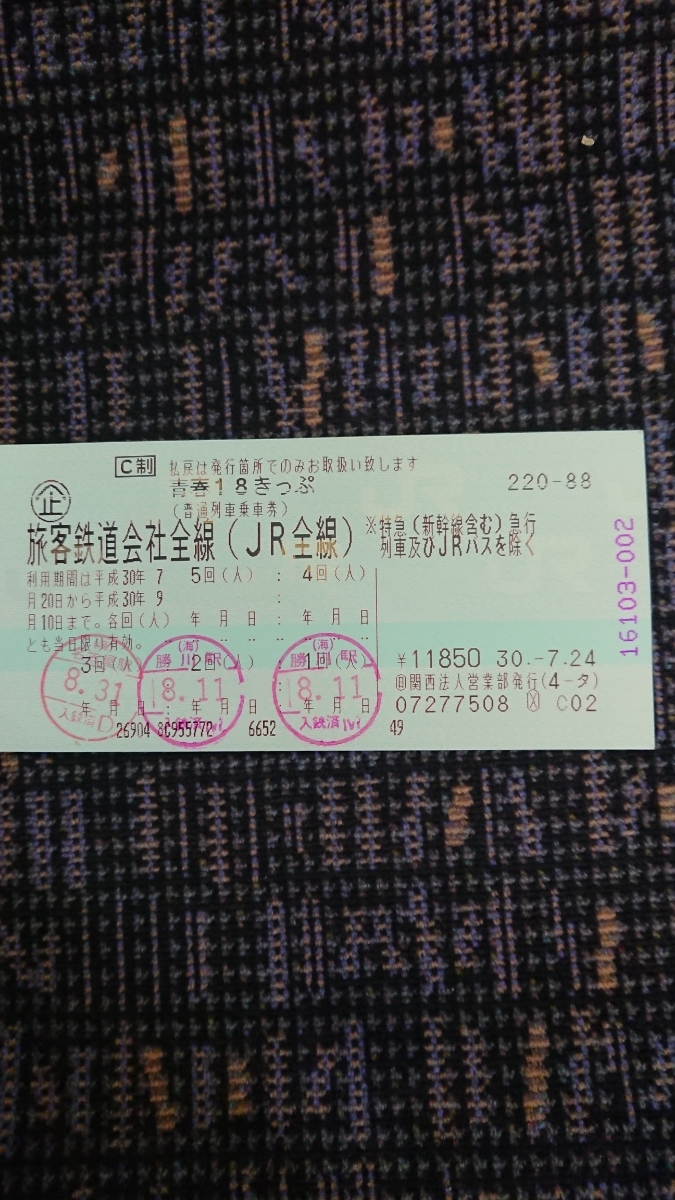 最新☆南海電鉄電車全線株主優待乗車証(定期券)簡易書留込