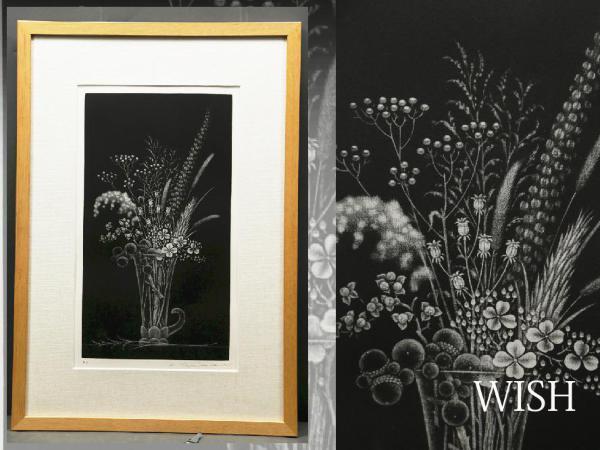 真作】【WISH】清水敦「ビロードモーズイカ」 銅版画 リアリズム 〇