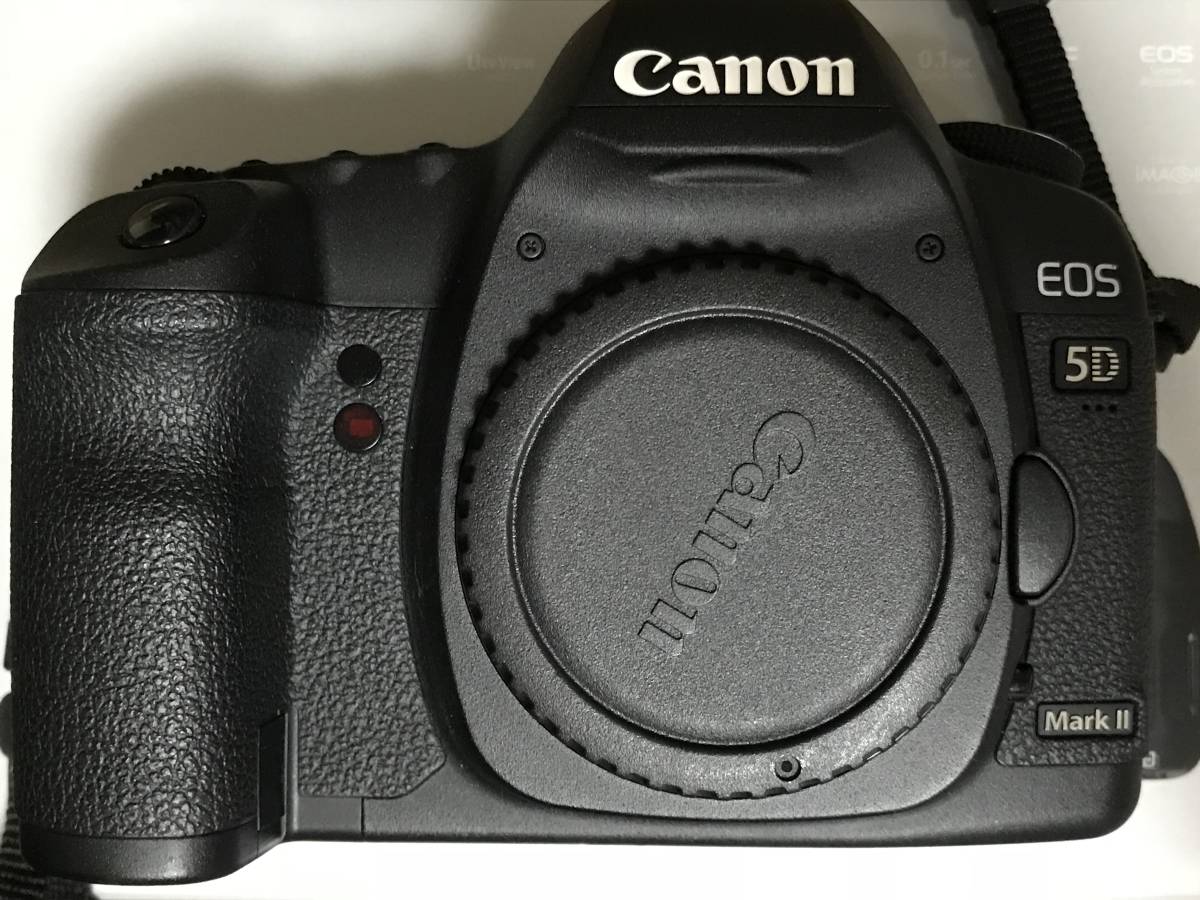 5D Mark II Canon EOS Camera - Body Only 14年前のデジカメで写真を