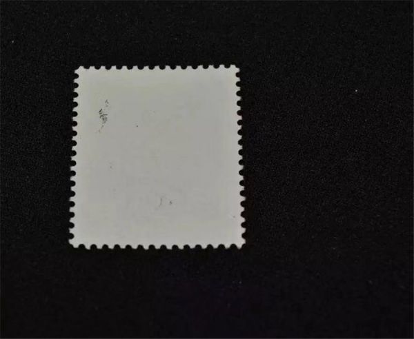 e313454202.4