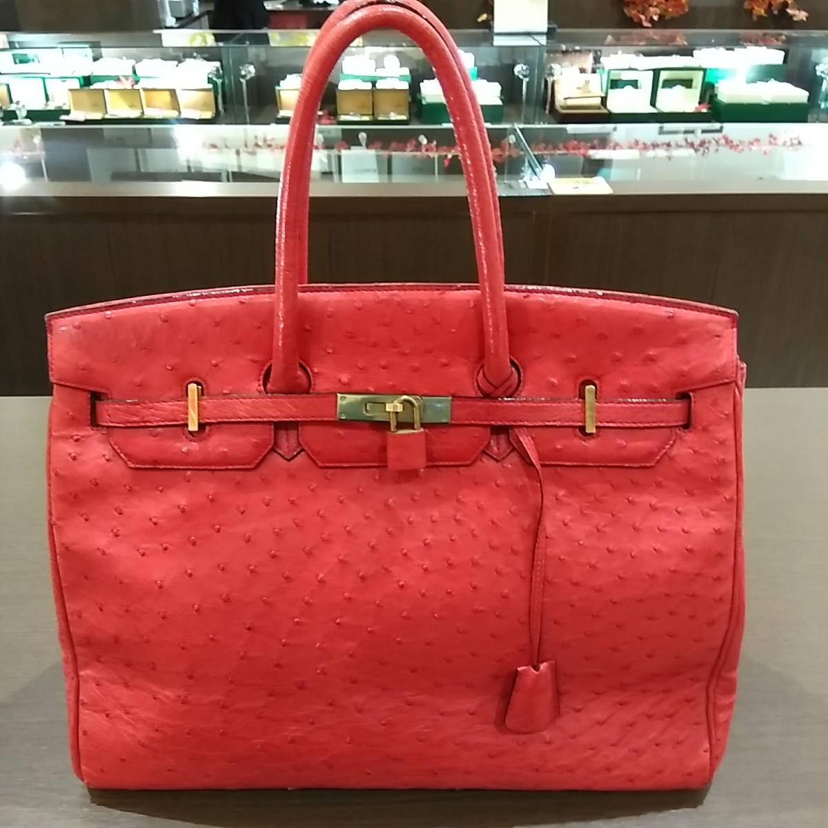 t596626997.1