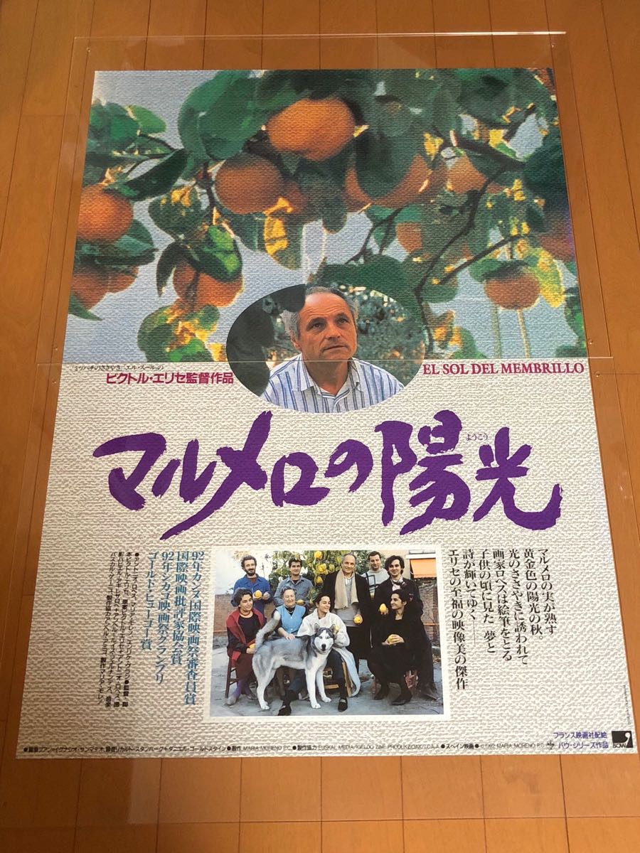 全国無料 映画ポスター マルメロの陽光 B1サイズ EL SOL DEL MEMBRILLO THE DREAM OF LIGHT ビクトル エリセ Victor Erice ミツバチのささやき(映画)｜売買されたオークション情報、yahooの商品情報をアーカイブ公開 - その他