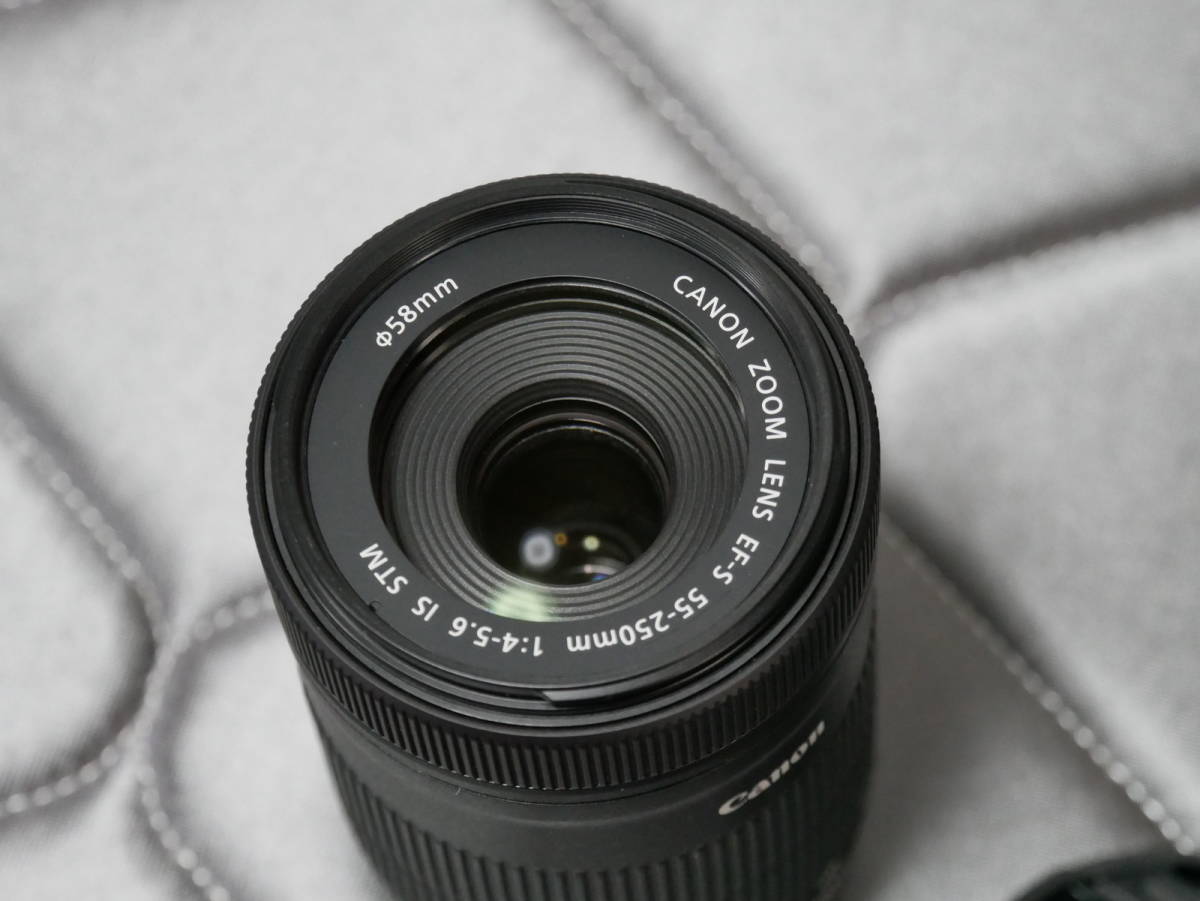 Canon 望遠ズームレンズ EF-S55-250mm F4-5.6 IS STM 美品