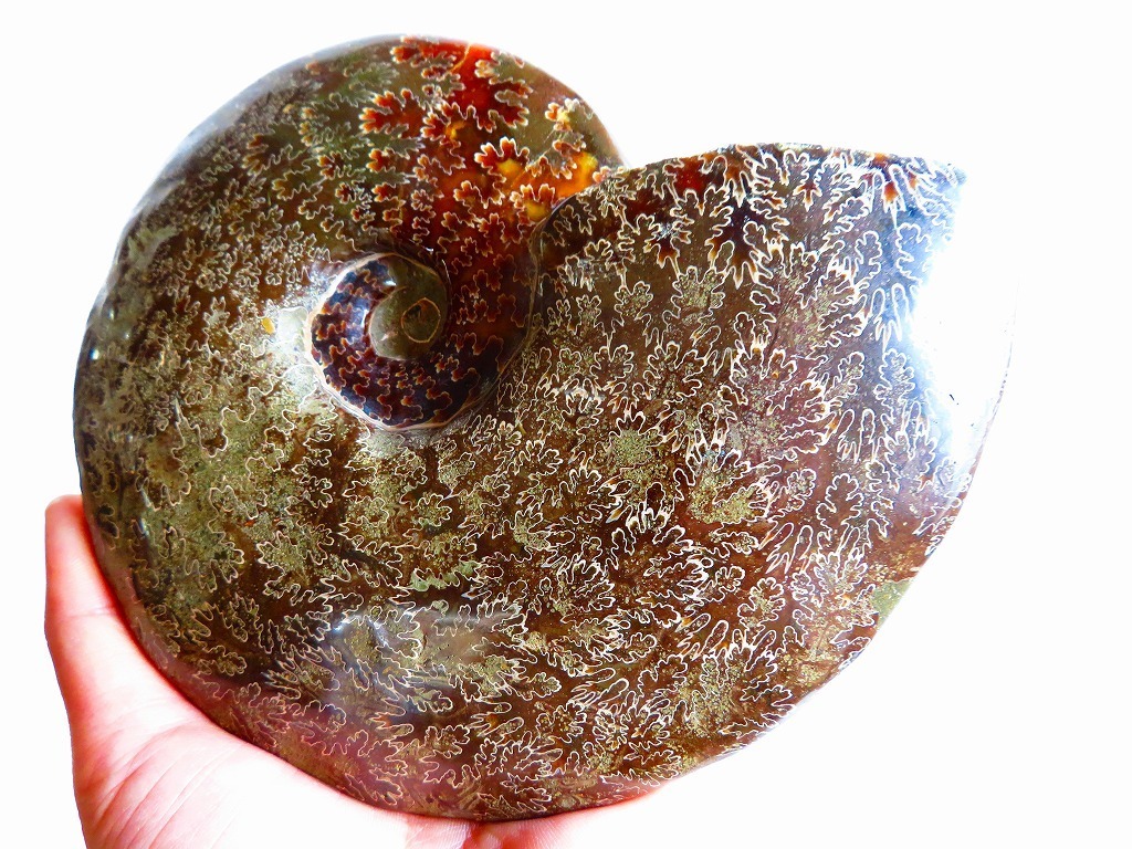☆数万個の中の一個☆上級贅品☆天然マダガスカル産 ☆数万個の中の一個☆上級贅品☆天然マダガスカル産
