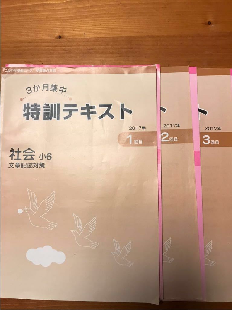 送料無料！Z会 6年 3か月特訓テキスト 社会(文章記述対策) - Z会中学