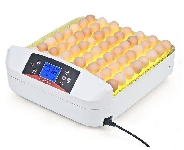 【新品・送料無料・追跡可能】鳥のLED孵卵器 鳥 ペット PSE認証 ふ卵器 孵化器 業務用 インキュベーター 最大56個 新品 国内電圧対応_1