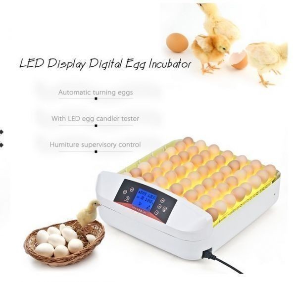 【新品・送料無料・追跡可能】鳥のLED孵卵器 鳥 ペット PSE認証 ふ卵器 孵化器 業務用 インキュベーター 最大56個 新品 国内電圧対応_10