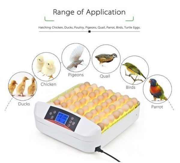 【新品・送料無料・追跡可能】鳥のLED孵卵器 鳥 ペット PSE認証 ふ卵器 孵化器 業務用 インキュベーター 最大56個 新品 国内電圧対応_2