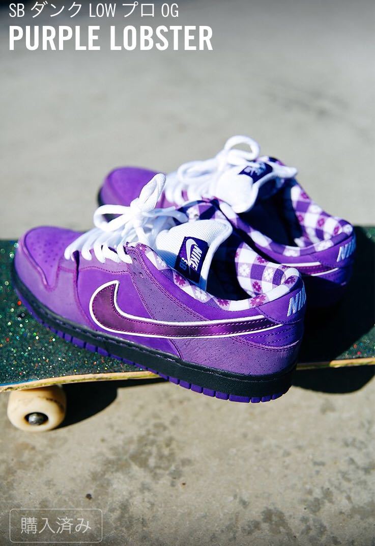 シューズ(男性用) Nike Book 1 26.5cm 定価スタート】26.5cm Concepts × NIKE SB DUNK LOW PRO OG QS Purple