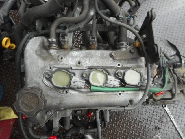 o420730795.3