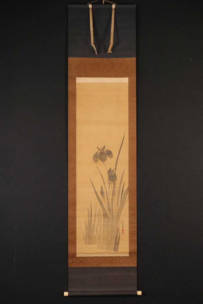 【模写】【一灯】b7543〈酒井抱一〉菖蒲図 琳派 江戸後期