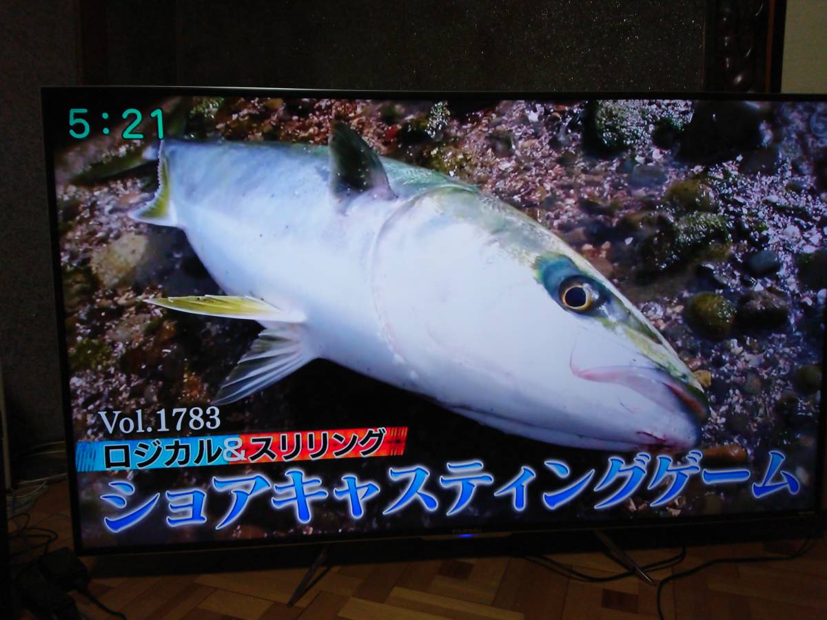 ★☆消費税なし！2017製　FUNAI　FL-65UD4100　65V型　地上・BS・110度CSデジタル　4K対応　LED液晶テレビ　　　ブラック☆★_5