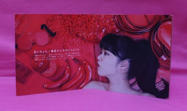 あいみょん 1st アルバム青春のエキサイトメント イヤホンケース 青春