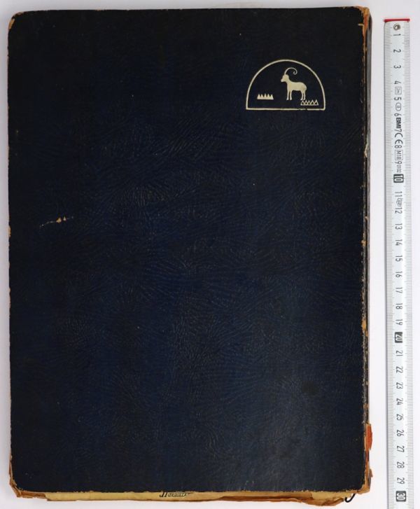 古写真 絵葉書 歴史写真 貼込帖 アルバム 新聞記事 スクラップブック 日本軍 戦闘機 - 管: RA24