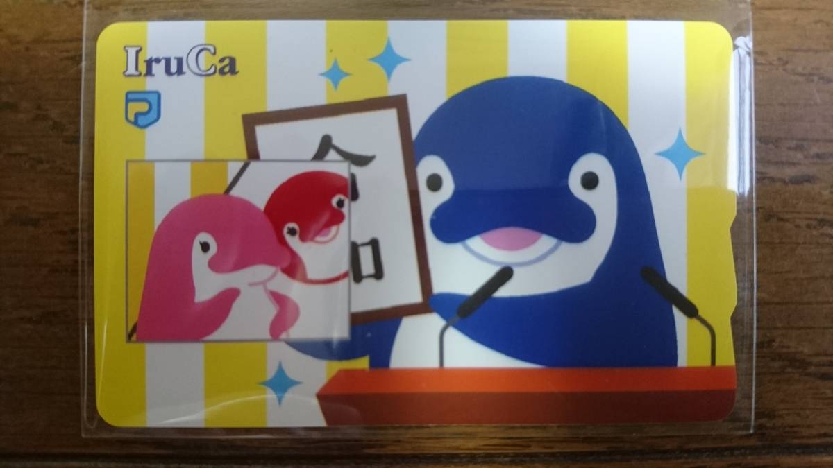 新元号「令和」記念 IruCa イルカ u*e様 超限定品 新