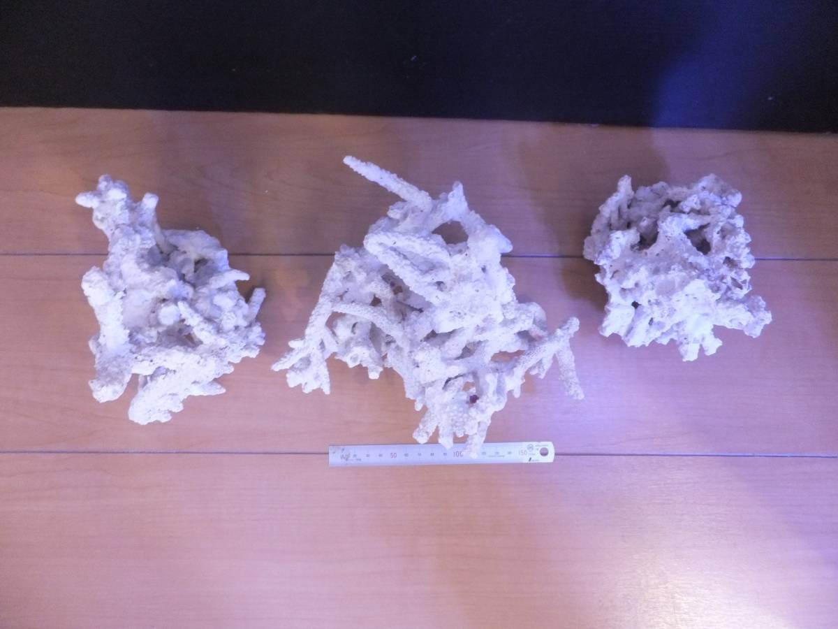 正規品，低価 レイアウト用デスロック 元ライブロック サンゴ水槽 海水