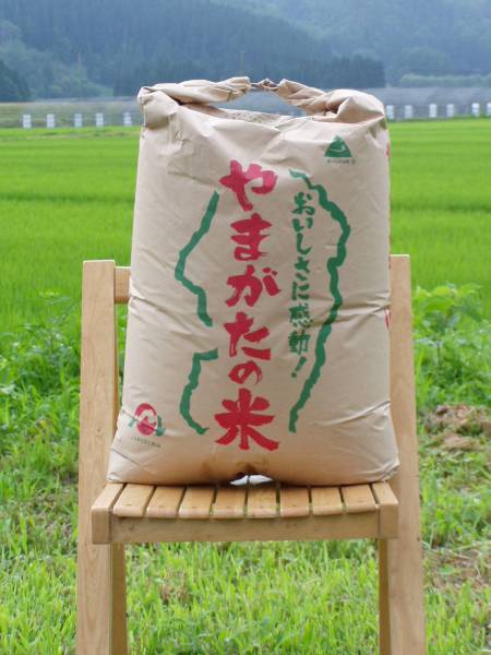 ☆H30年山形県産米 はえぬき 玄米30kg☆ 正規品，2026 【公式通販】