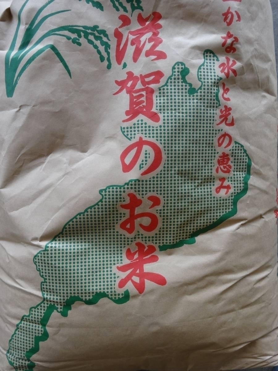 新米！ 中 米（業務用） 令和元年産ブレンド米 白米 20kg 10kg