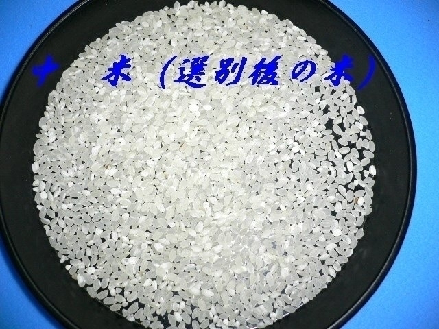 新米！ 中 米（業務用） 令和元年産ブレンド米 白米 20kg 10kg