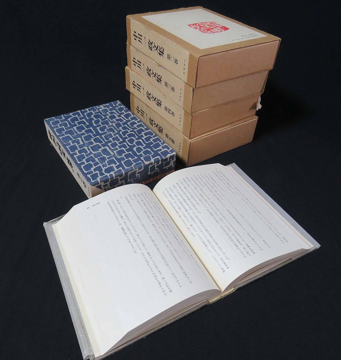 もっとも崇高なヒステリー者 ――ラカンと読むヘーゲル スラヴォイ