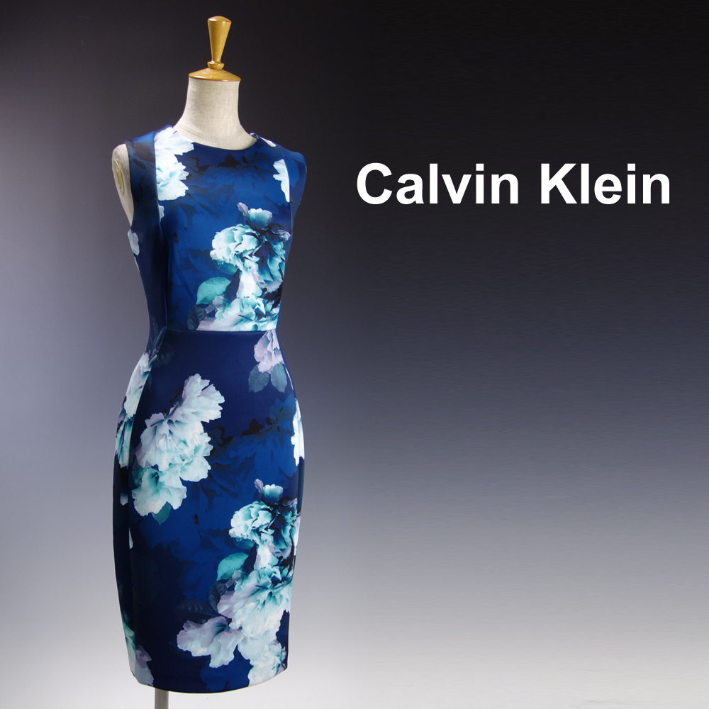 カルバンクライン 8 13号 青 水色 薔薇 花柄 ノースリーブ 膝丈 ワンピースドレス パーティドレス 結婚式 二次会 輝x2108 Lサイズ 売買されたオークション情報 Yahooの商品情報をアーカイブ公開 オークファン Aucfan Com