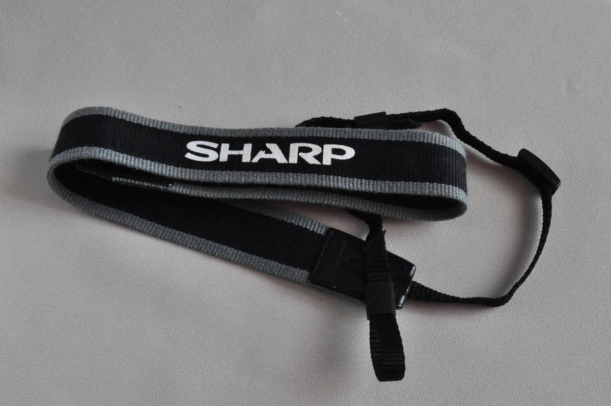 SHARP 液晶デジタルビューカム・ビデオカメラ VL-DC3　中古品　 撮っては見る、消して又撮る、お孫さんとお爺さん二人だけで楽しむおもちゃ_10