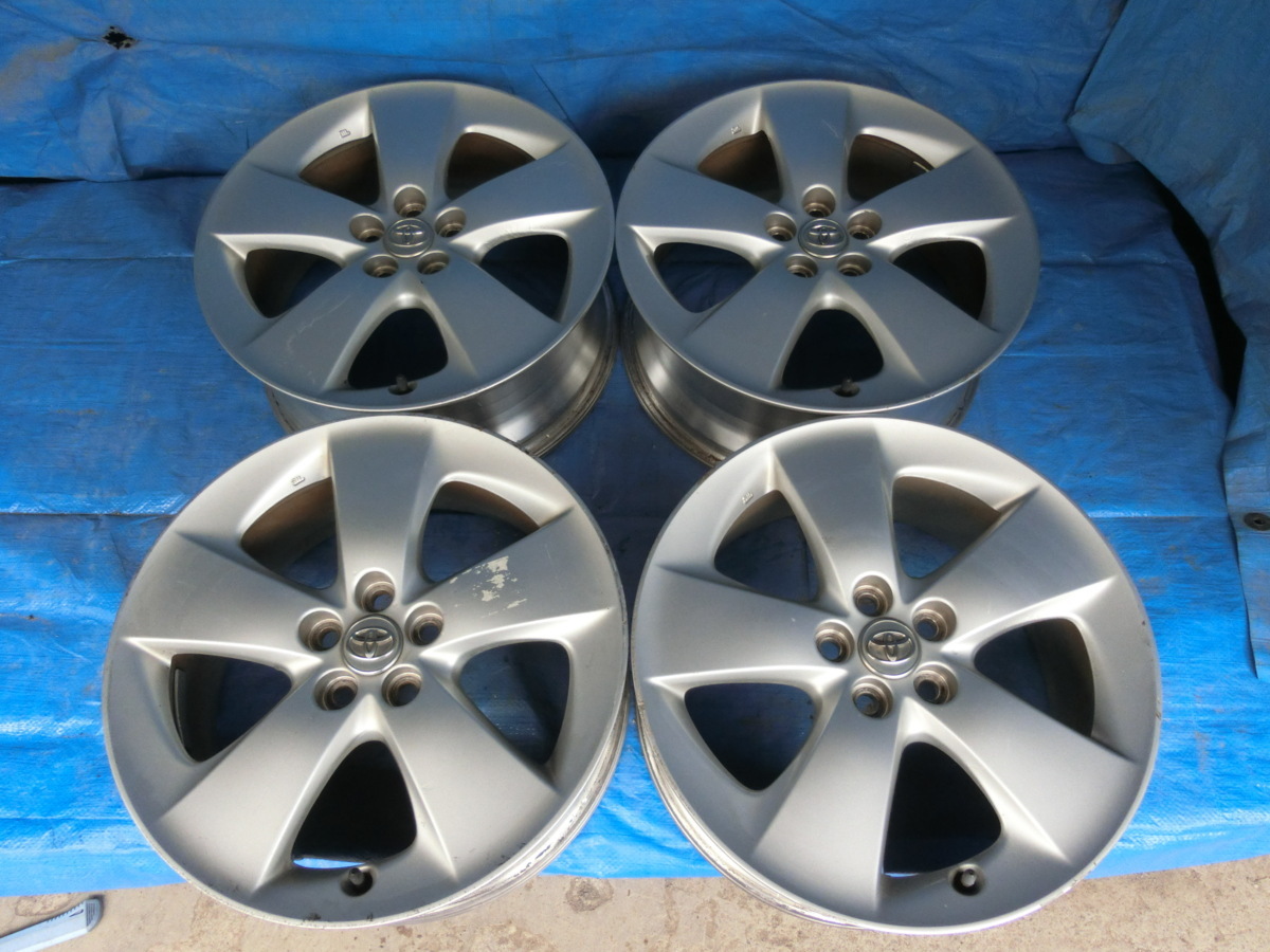 t777463813.1