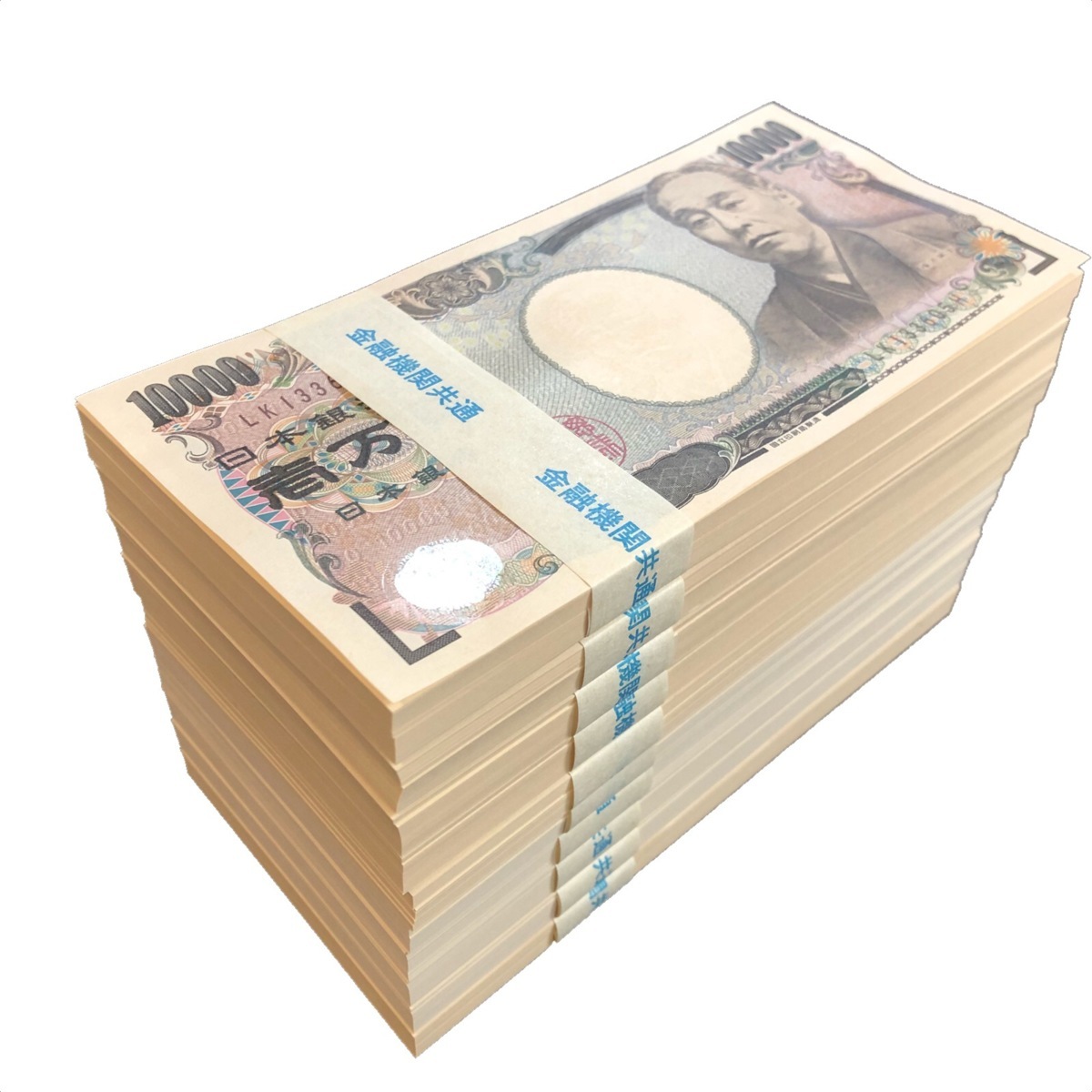ダミー 100万円札束 D レプリカ | 10束 ノーブランド品 金融機関共通