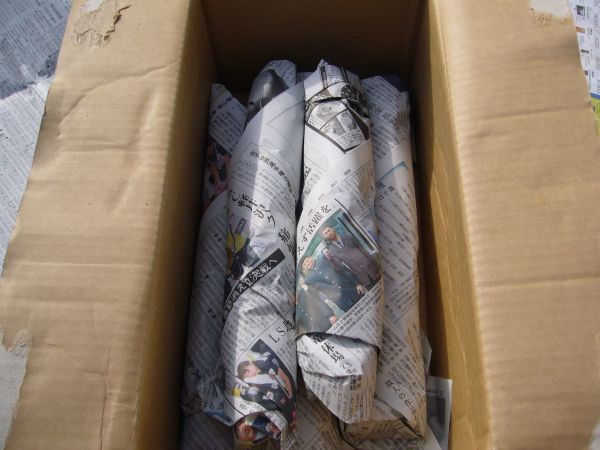 長野県 松代産 長芋 10kg ご家庭用 新掘 ♯0 長芋 松代産 10kg 長野県(松代町・山形村）産 シャキッ甘い、長野県松代産ながいも(ご家庭用)10kg：長野県産の 長