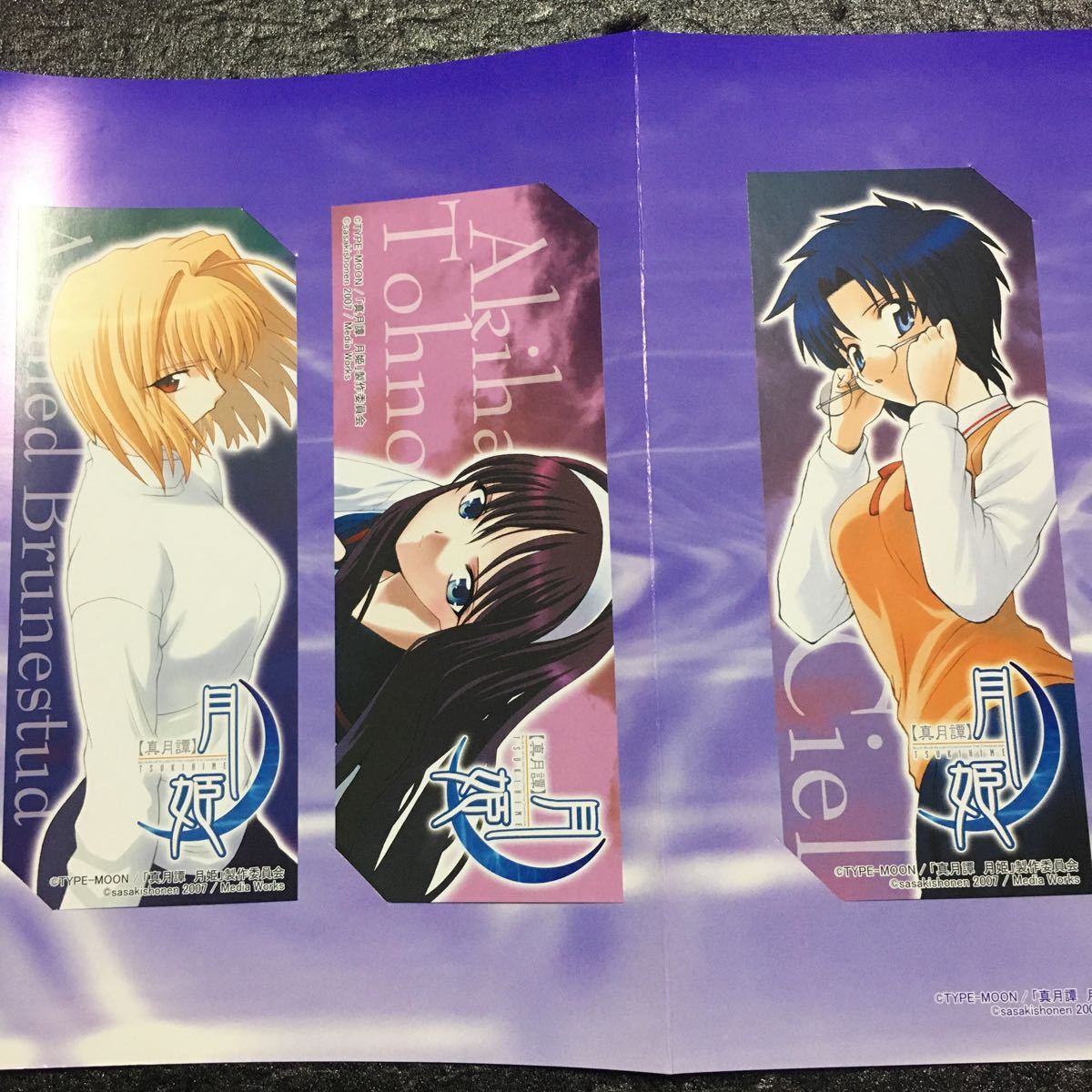 新月譚月姫 コミックス第5巻 アニメイト限定版 台紙付きしおり4枚セット Tnoyzqdzru Godawaripowerispat Com