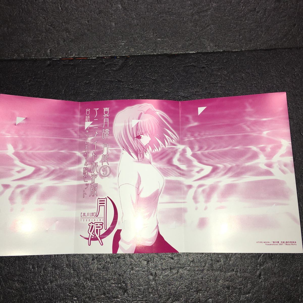 新月譚月姫 コミックス第5巻 アニメイト限定版 台紙付きしおり4枚セット Tnoyzqdzru Godawaripowerispat Com