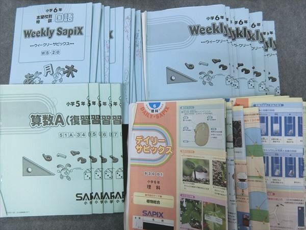 サピックス SAPIX 理科 一年分 デイリーチェック デイリーサピックス 5