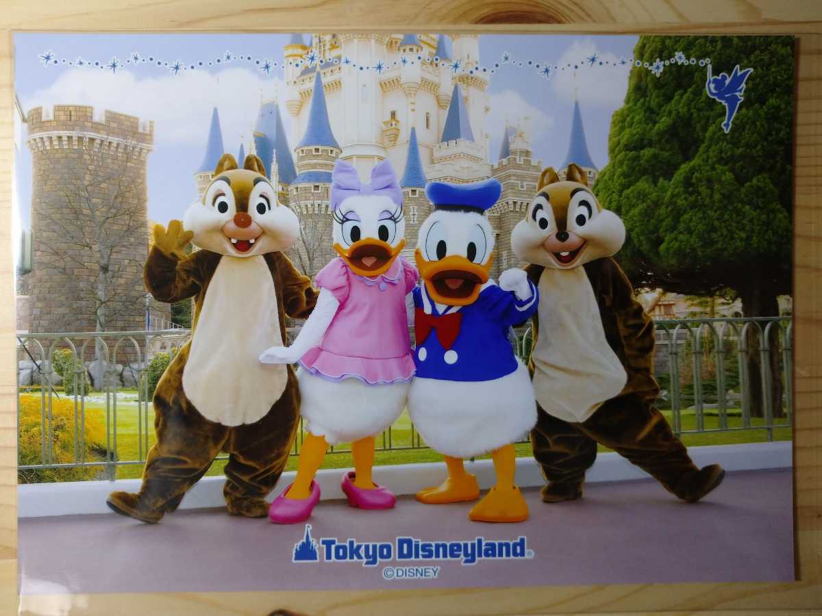 ディズニーランド ディズニーシー TDL TDS フォトファン 19_1