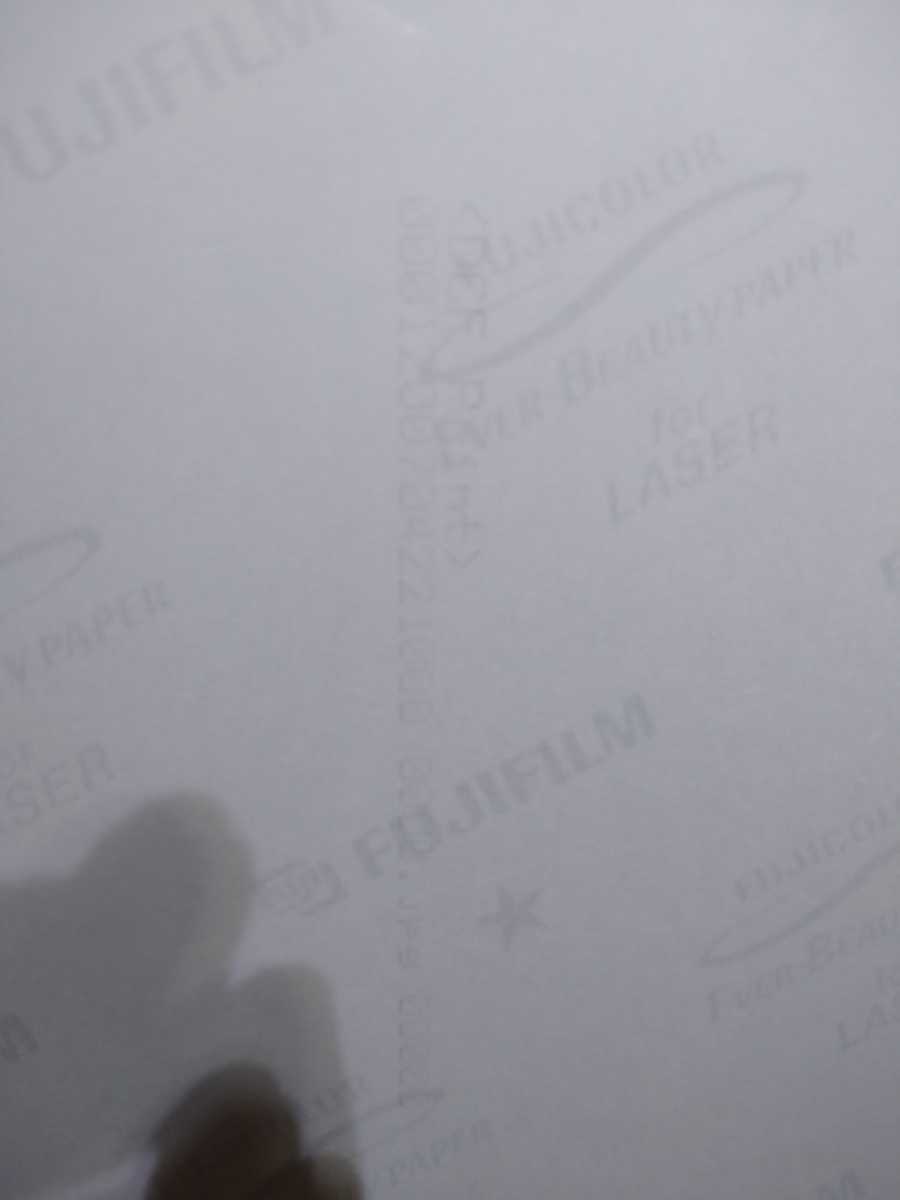 ディズニーランド ディズニーシー TDL TDS フォトファン 19_2