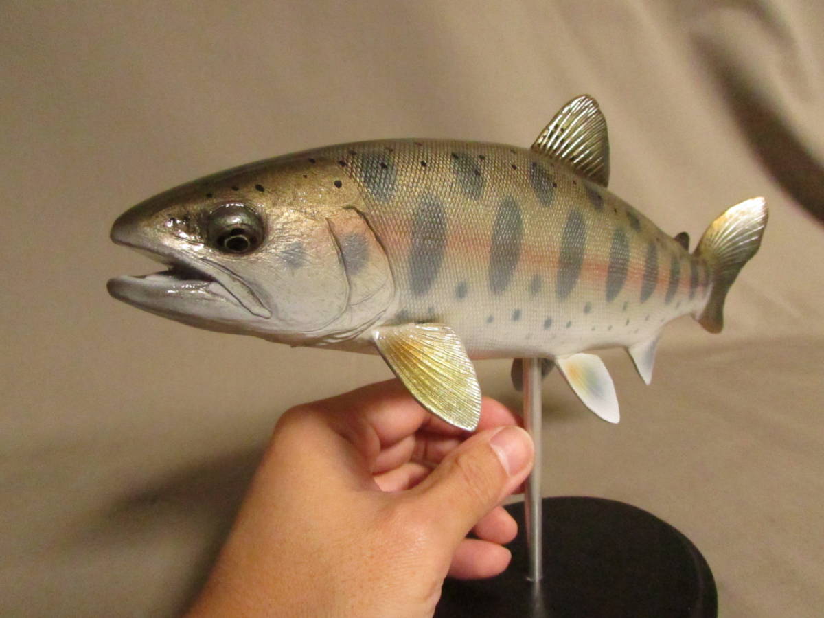 ○ハンドメイド 自作 手作り 27cmヤマメ 魚模型 フィギュア