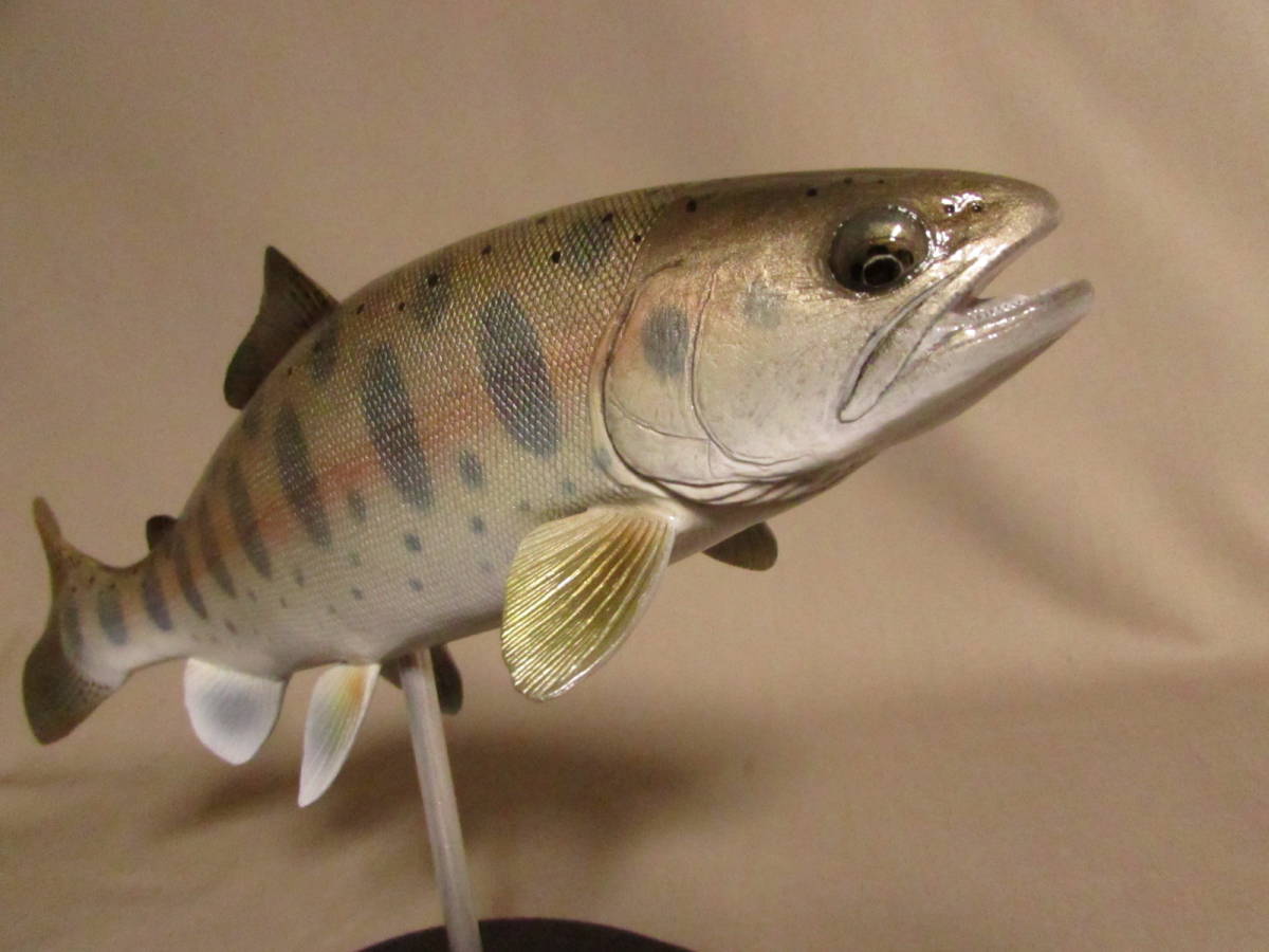 ○ハンドメイド 自作 手作り 27cmヤマメ 魚模型 フィギュア