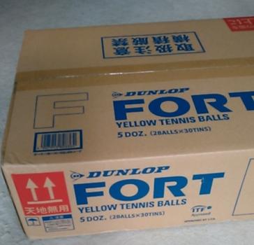 セール，100%新品 最安値に挑戦 ダンロップ フォート DUNLOP FORT ２個入り&times;３０缶 1箱 2020年3月入荷品(硬式用)｜売買されたオークション情報、yahooの商品情報をアーカイブ公開 - オークファン 硬式用