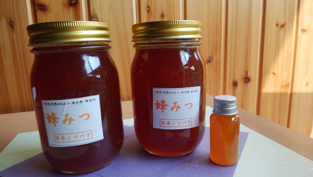 日本ミツバチの蜂蜜570g×2本 （20㏄おまけ付き）はちみつ 蜂蜜