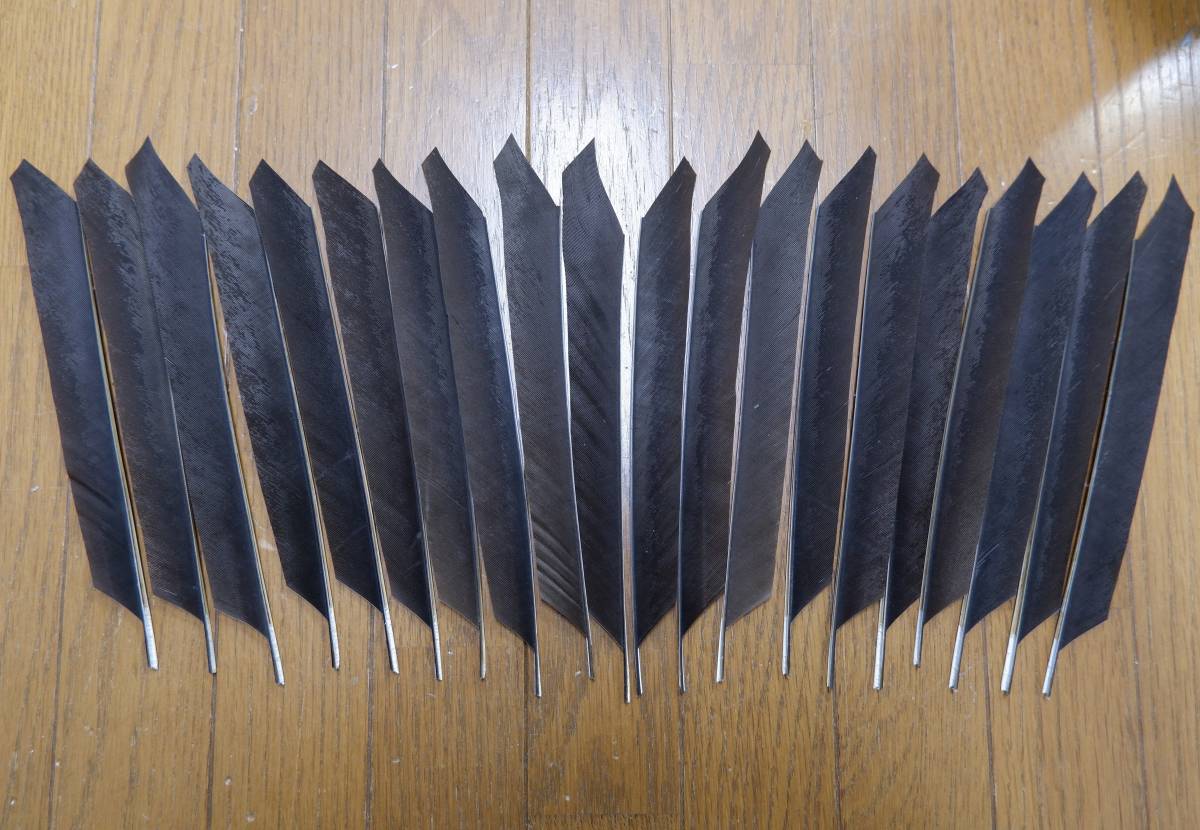 弓道 矢 黒鷲羽 染め抜き 6本組 カーボン矢 6本組 KC-8025 黒手羽 (1
