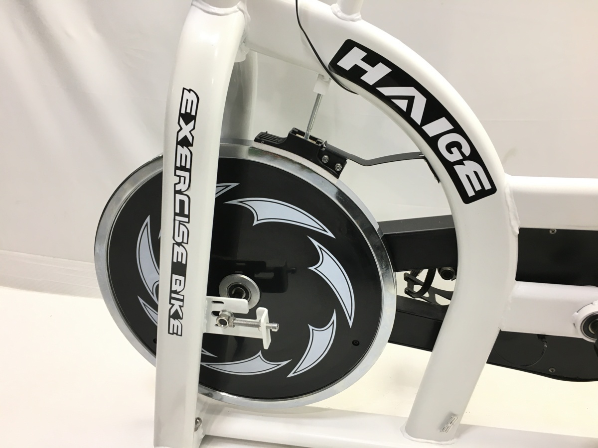 HAIGE ハイガー スピンバイク HG-YX-5006S フィットネスバイク エアロ 