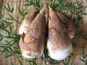 筍シーズン到来！！京都物集産筍/たけのこ 2kg