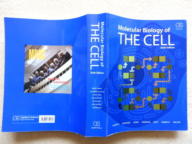 Molecular Biology of the Cell 6th Edition 英語版 細胞の分子生物学(生物学)｜売買されたオークション