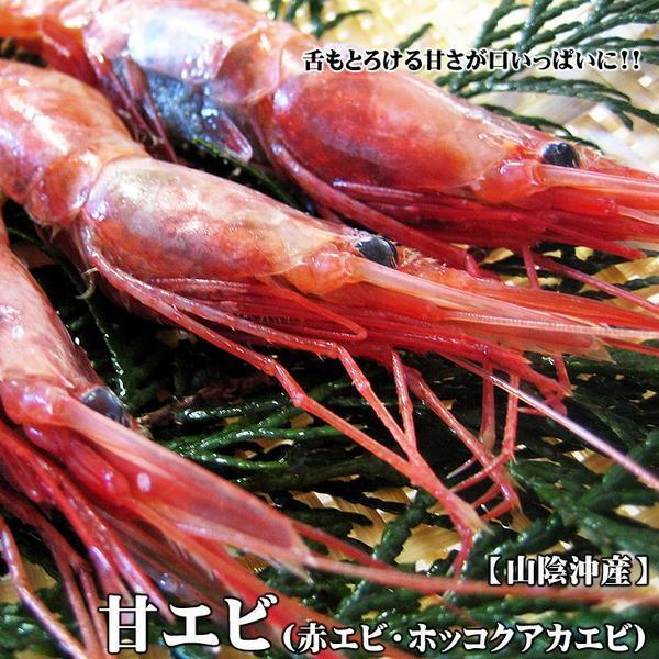 【和歌山産】　伊勢海老（1.4ｋ)　刺身OK　冷凍　 訳有　BS-6 和歌山産 伊勢海老（3匹で450ｇ) 刺身OK 刺身用 700g⁄2kg 赤